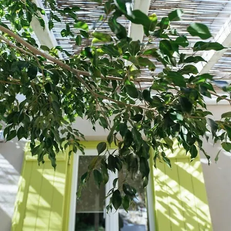 Cozy 2-bedroom House In Tinos *